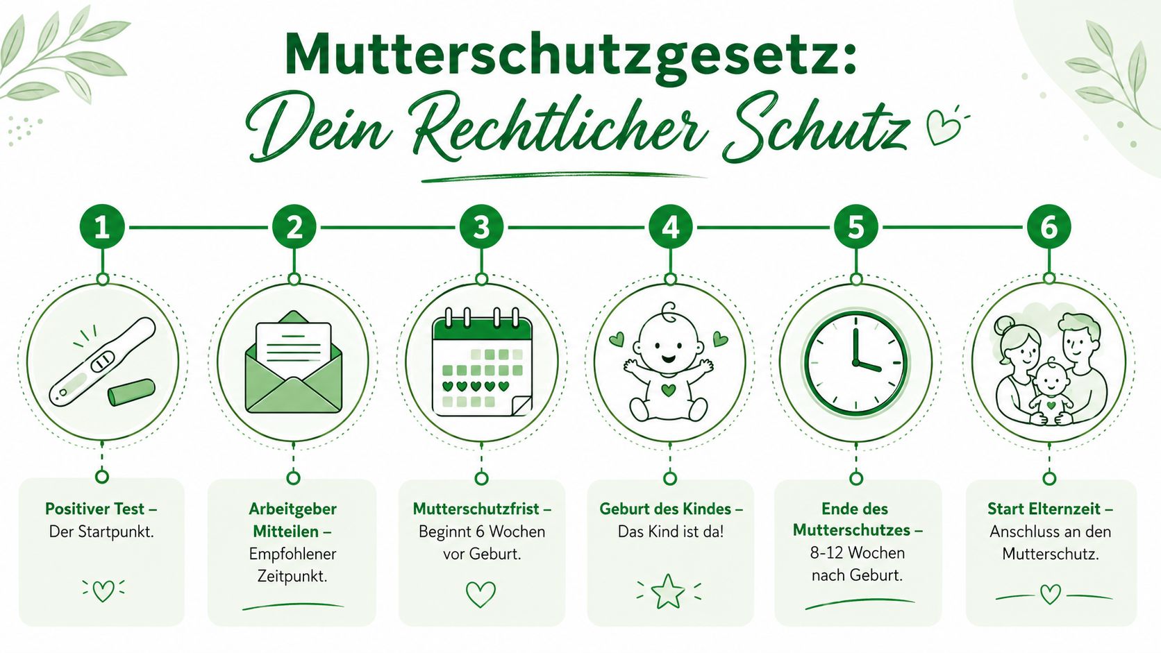 Eine Infografik zum Mutterschutzgesetz, die den Ablauf von der Schwangerschaft bis zum Beginn der Elternzeit illustriert.