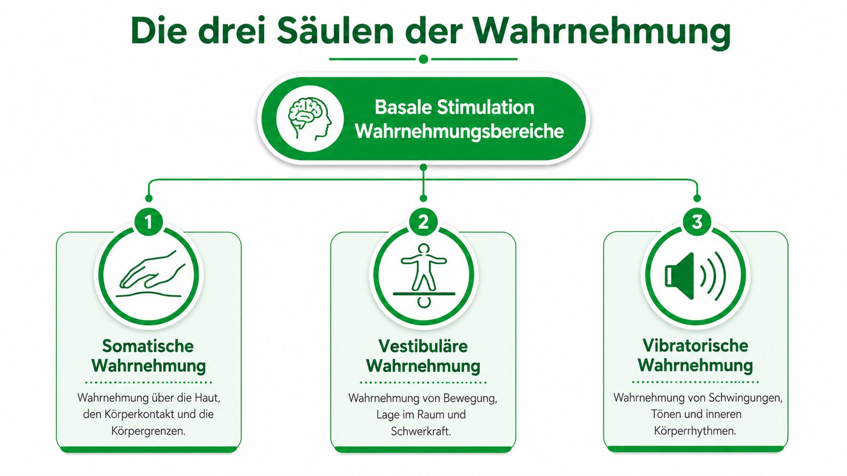 Grafik zur Basalen Stimulation, die die drei Wahrnehmungsbereiche somatisch, vestibulär und vibratorisch übersichtlich darstellt.