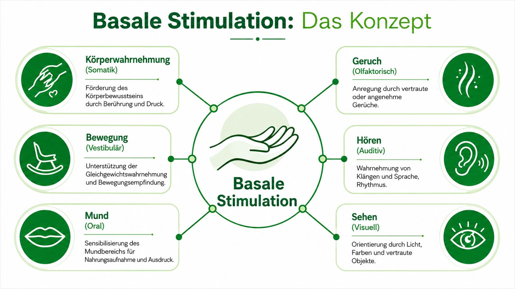 Eine Übersichtsgrafik zum Konzept der Basalen Stimulation, die die sechs Sinnesbereiche mit ihren Schwerpunkten und Zielen darstellt.